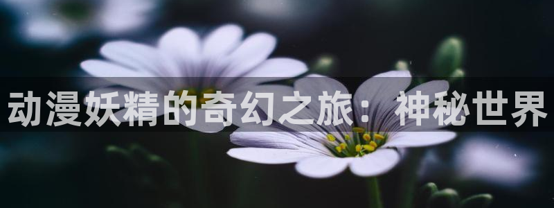 里番漫画大全：动漫妖精的奇幻之旅：神秘世界