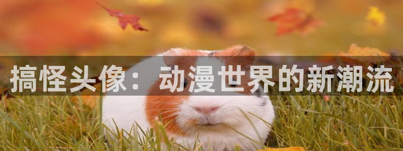 里番动漫更新：搞怪头像：动漫世界的新潮流