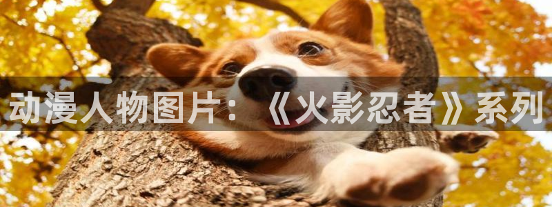 日本旧里番动漫：动漫人物图片：《火影忍者》系列
