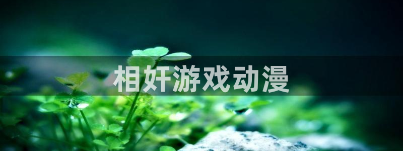 里番无翼鸟少女漫画：相奸游戏动漫