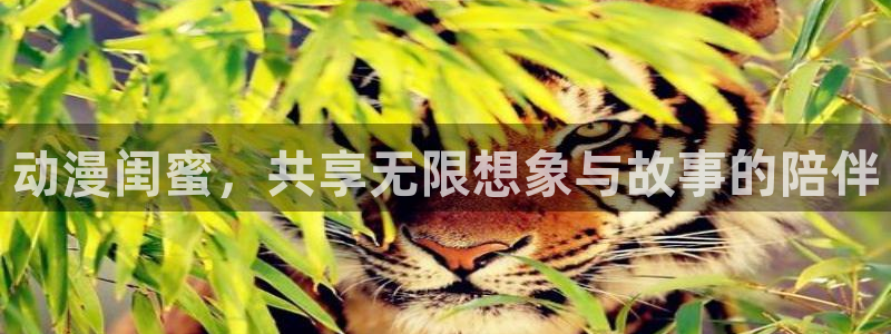 里番动漫库：动漫闺蜜，共享无限想象与故事的陪伴