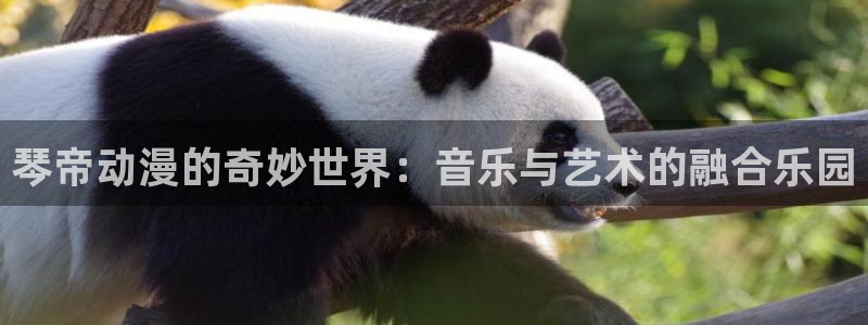 成人动漫里番：琴帝动漫的奇妙世界：音乐与艺术的融合乐园