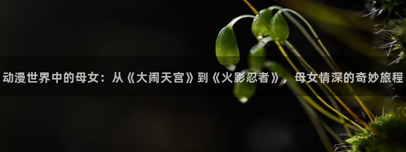 里番肉肉漫画：动漫世界中的母女：从《大闹天宫》到《火影忍者》，母女情深的奇妙旅程