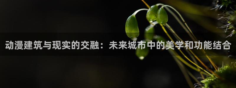 里番动漫免费网站：动漫建筑与现实的交融：未来城市中的美学和功能结合
