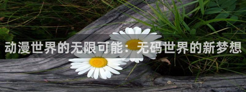 旧里番动画片：动漫世界的无限可能：无码世界的新梦想