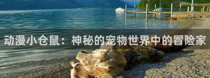 热播里番动漫：动漫小仓鼠：神秘的宠物世界中的冒险家