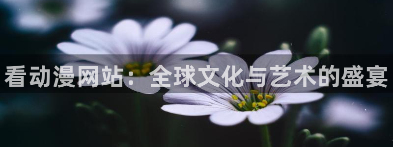 里番动漫在哪里看：看动漫网站：全球文化与艺术的盛宴
