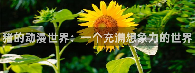 少女里番动漫：猪的动漫世界：一个充满想象力的世界