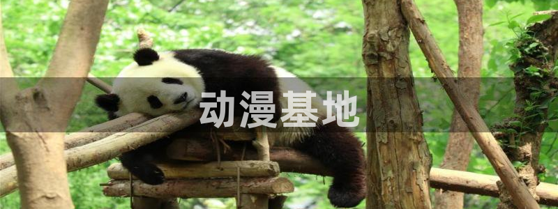 里番动漫app：动漫基地