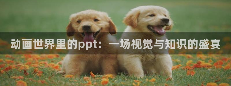 里番漫app：动画世界里的ppt：一场视觉与知识的盛宴