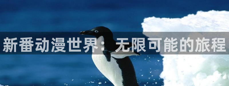 日本里番漫画：新番动漫世界：无限可能的旅程