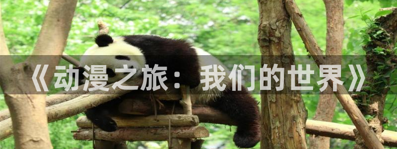 污动漫里番：《动漫之旅：我们的世界》