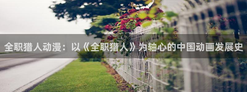 全彩少女漫画里番：全职猎人动漫：以《全职猎人》为轴心的中国动画发展史