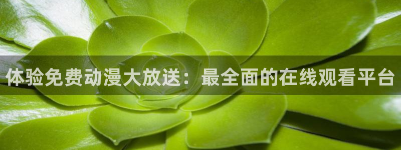 里番动画片：体验免费动漫大放送：最全面的在线观看平台