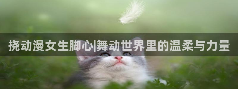 里番动漫app：挠动漫女生脚心|舞动世界里的温柔与力量