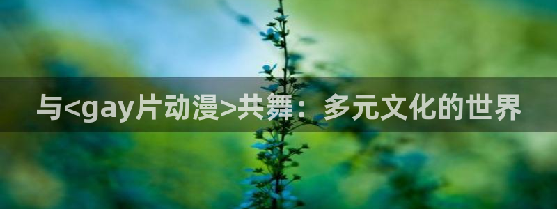 动漫看里番：与<gay片动漫>共舞：多元文化的世界