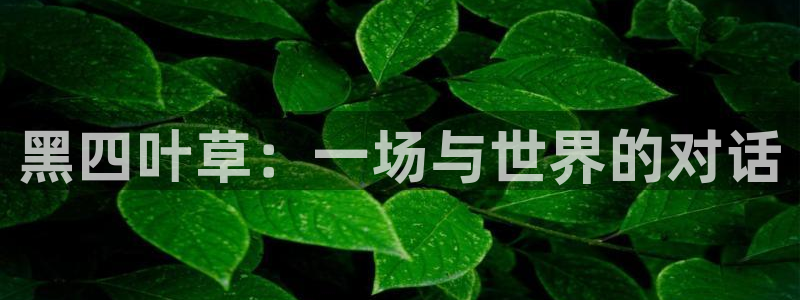 本子里番库漫画：黑四叶草：一场与世界的对话
