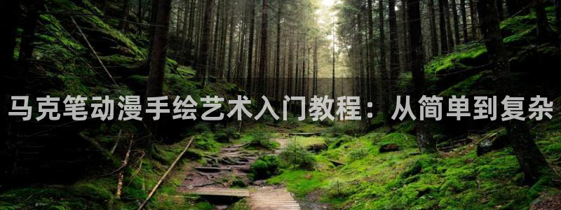 里番动漫视频在线观看：马克笔动漫手绘艺术入门教程：从简单到复杂